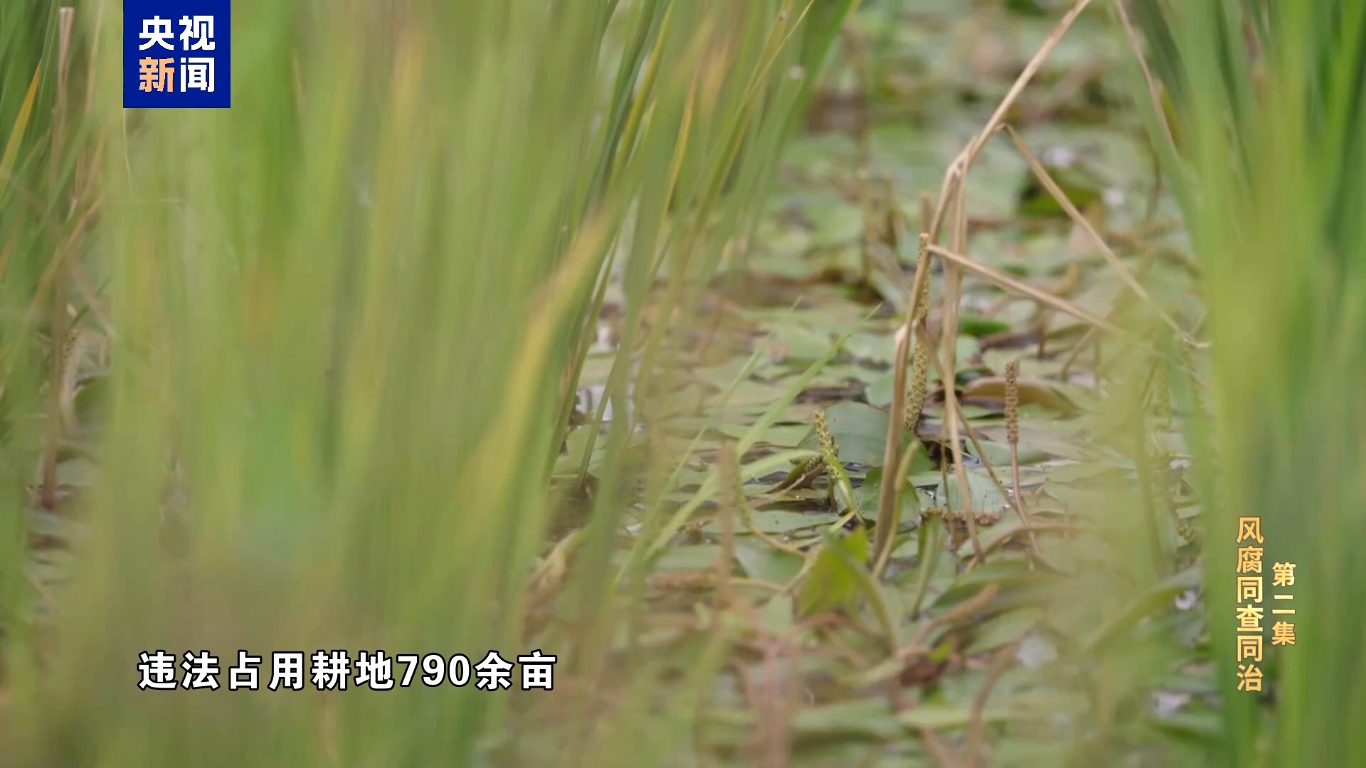 2138CC太阳集团