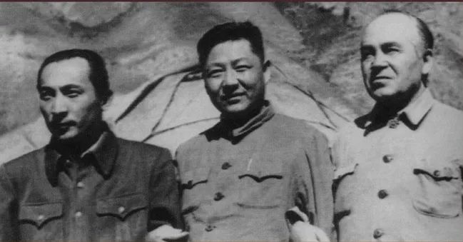 图片 图片